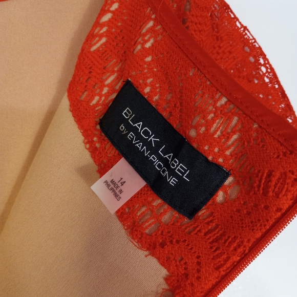 Evan Picone Black Label Orange Lace Capsleeve Shift Dress, Size 14 - Picture 7 of 8